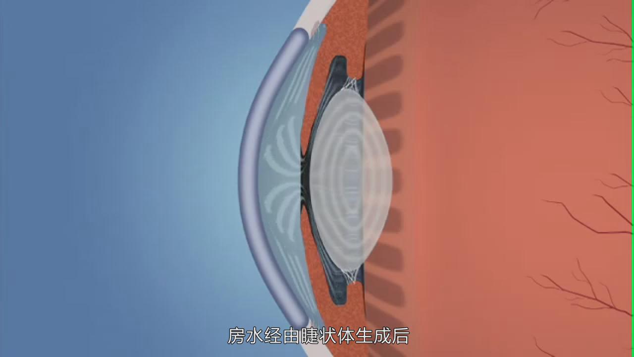 &#20122;&#26032;&#32593;&#31449;&#95;&#20122;&#26032;&#40;&#20013;&#22269;&#41;
