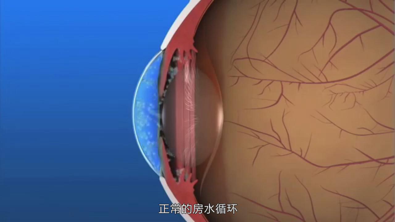 &#20122;&#26032;&#32593;&#31449;&#95;&#20122;&#26032;&#40;&#20013;&#22269;&#41;