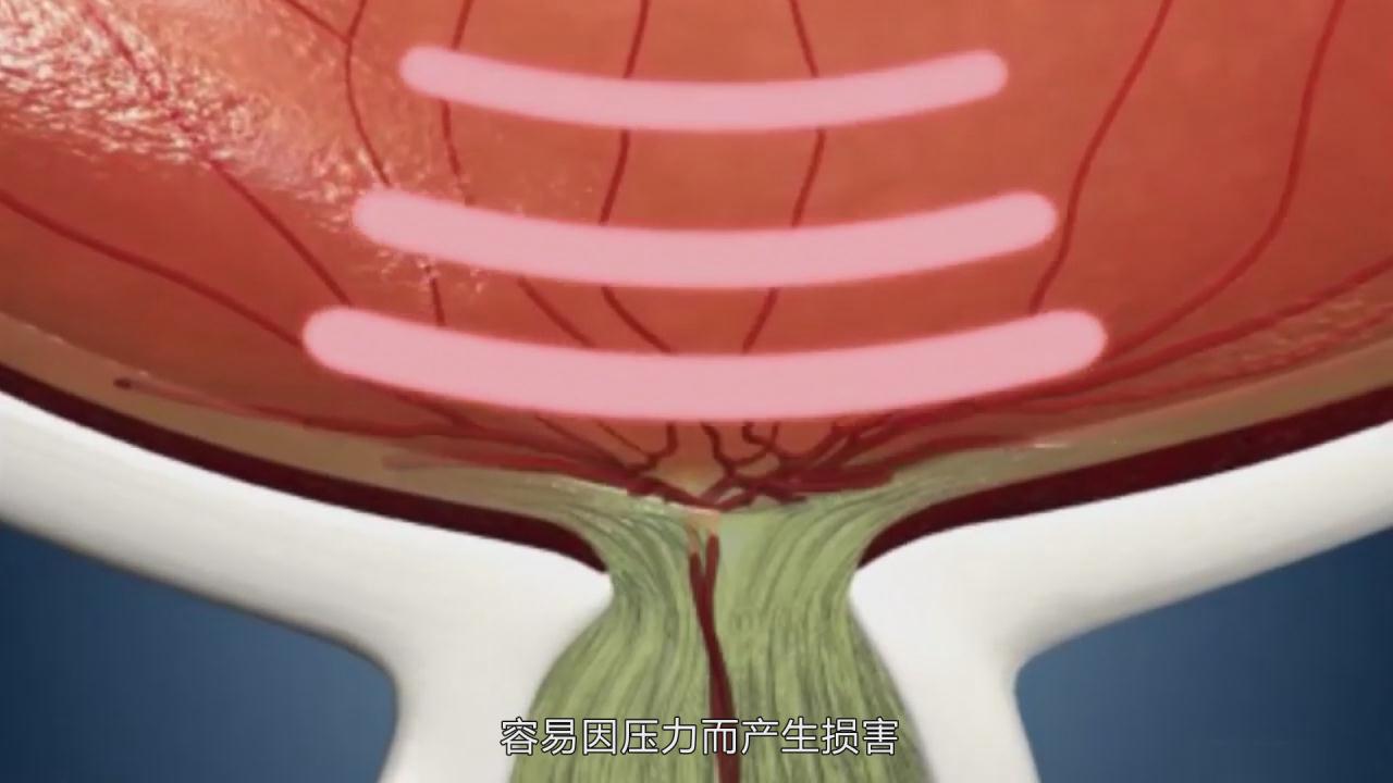 &#20122;&#26032;&#32593;&#31449;&#95;&#20122;&#26032;&#40;&#20013;&#22269;&#41;