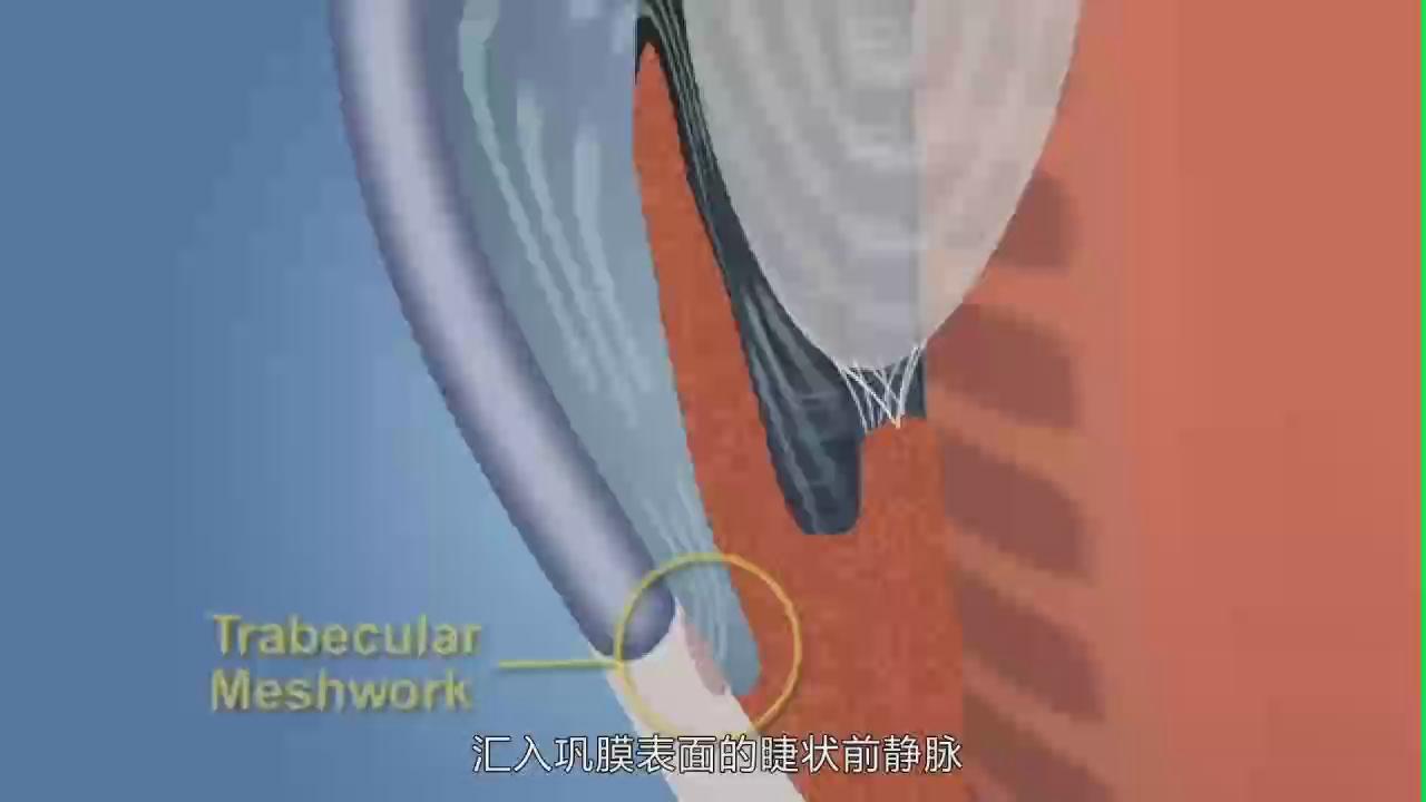 &#20122;&#26032;&#32593;&#31449;&#95;&#20122;&#26032;&#40;&#20013;&#22269;&#41;
