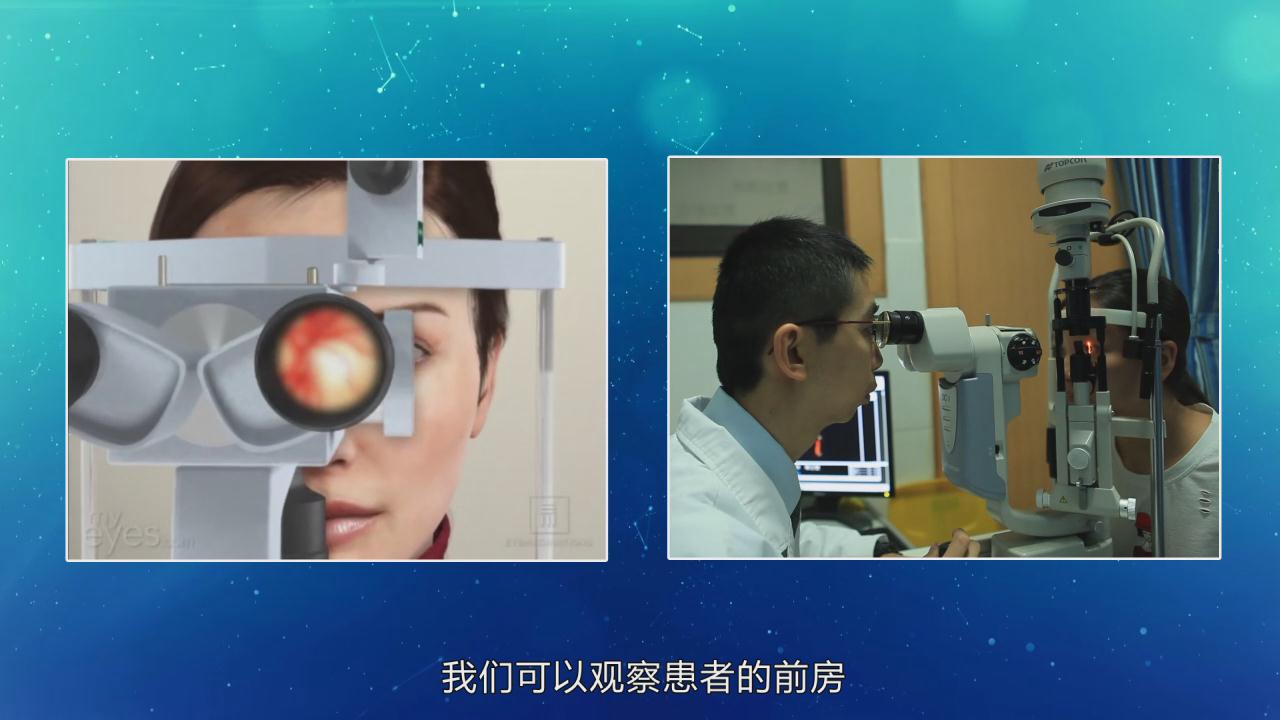 &#20122;&#26032;&#32593;&#31449;&#95;&#20122;&#26032;&#40;&#20013;&#22269;&#41;