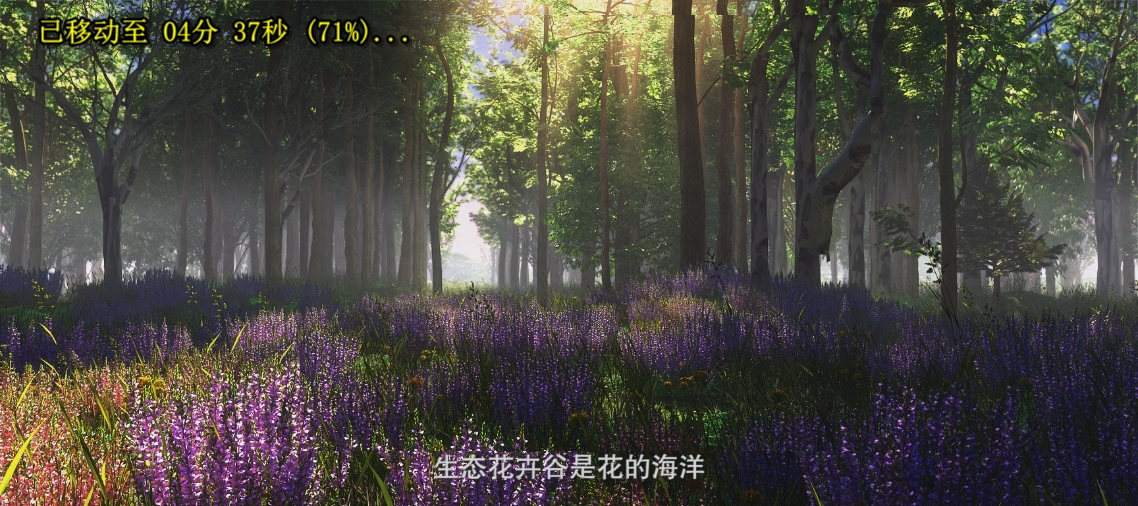 &#20122;&#26032;&#32593;&#31449;&#95;&#20122;&#26032;&#40;&#20013;&#22269;&#41;